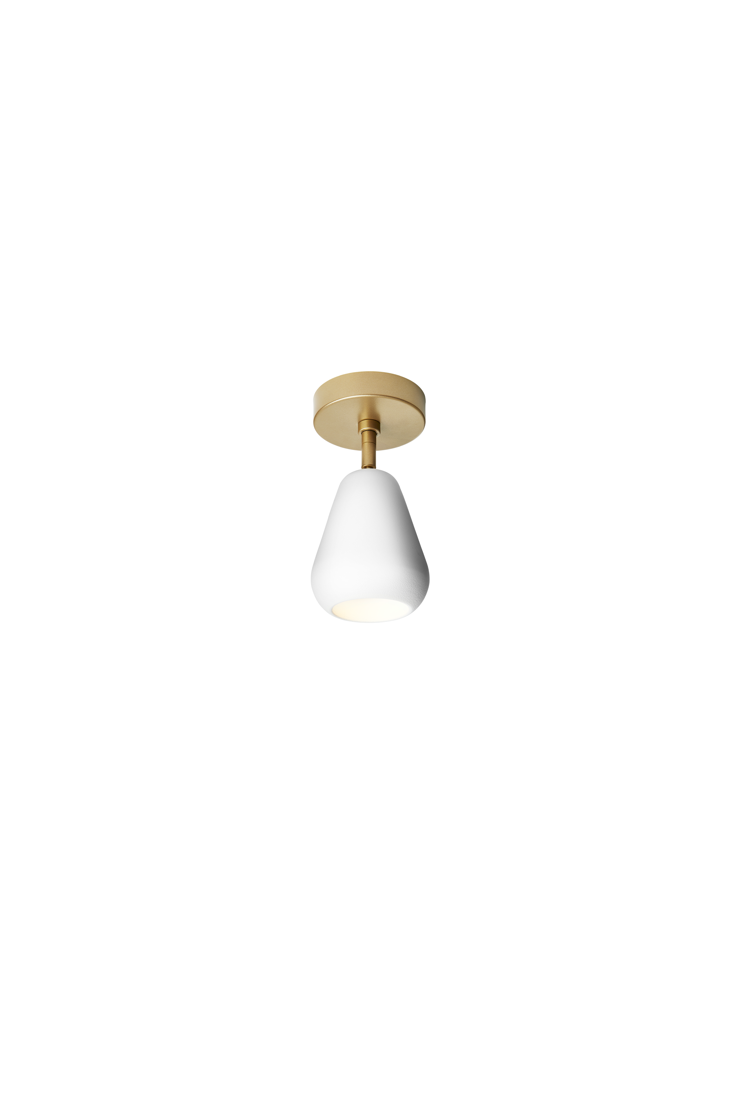 Anoli Spot Surface